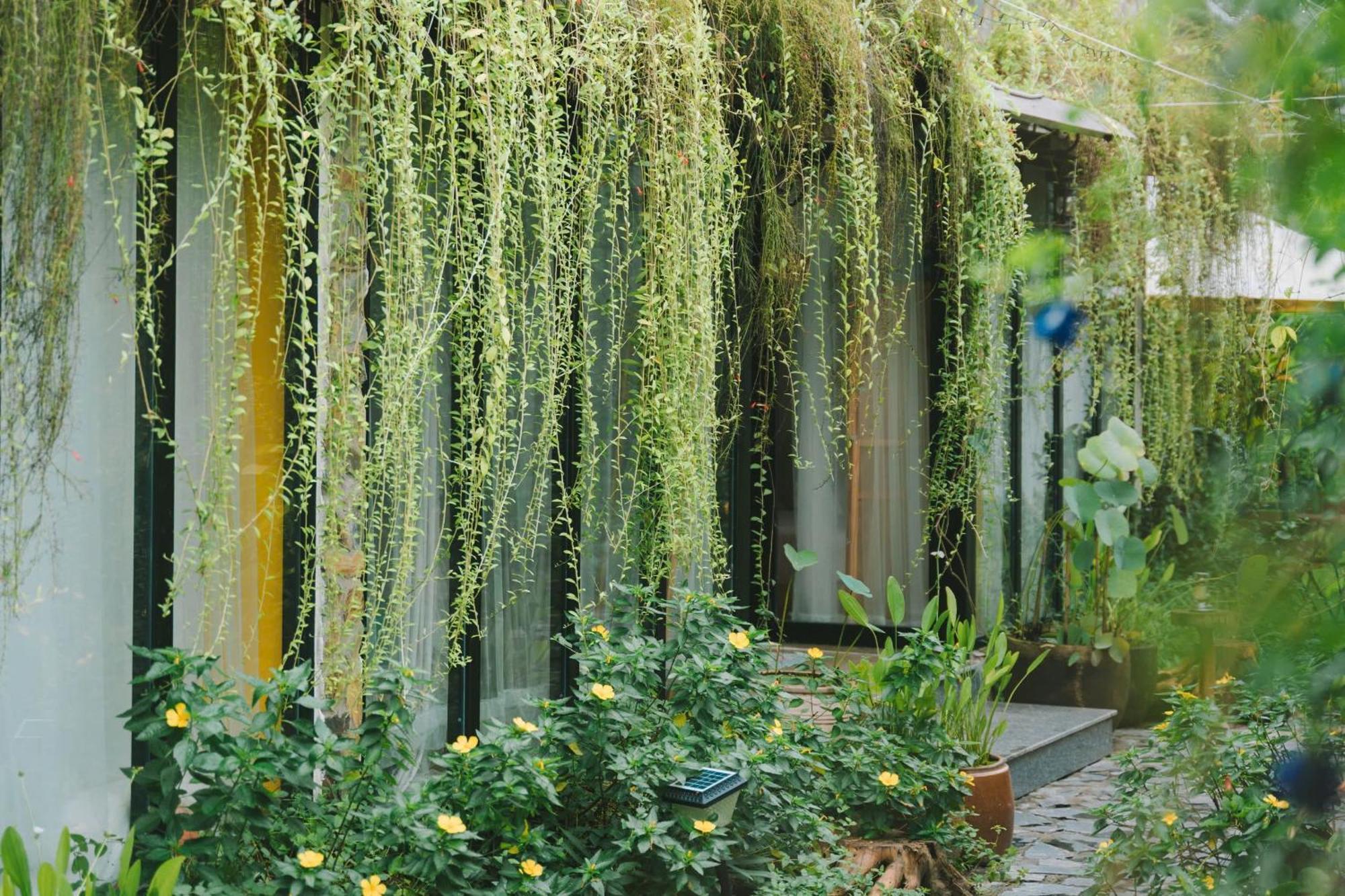Ben Do Xua Homestay & Coffee Cai Rang Zewnętrze zdjęcie