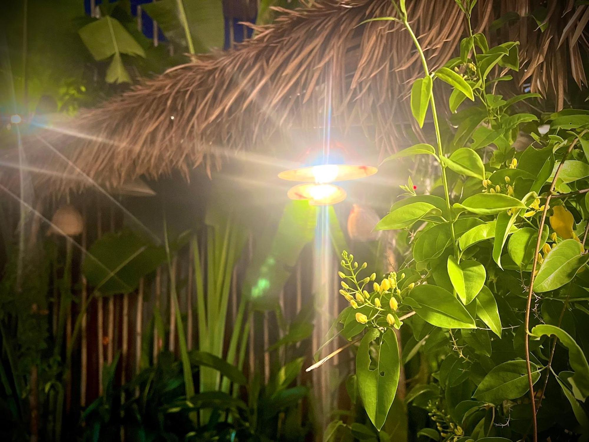 Ben Do Xua Homestay & Coffee Cai Rang Zewnętrze zdjęcie