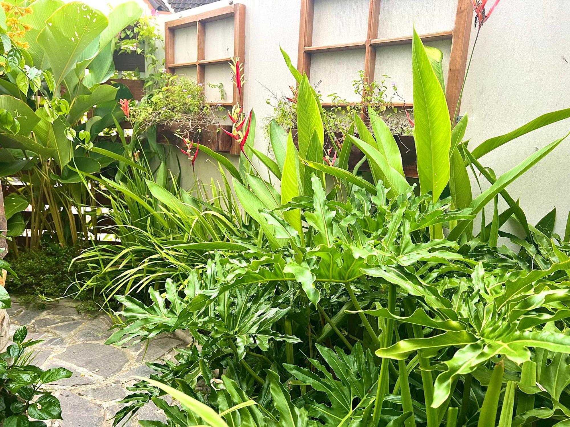 Ben Do Xua Homestay & Coffee Cai Rang Zewnętrze zdjęcie